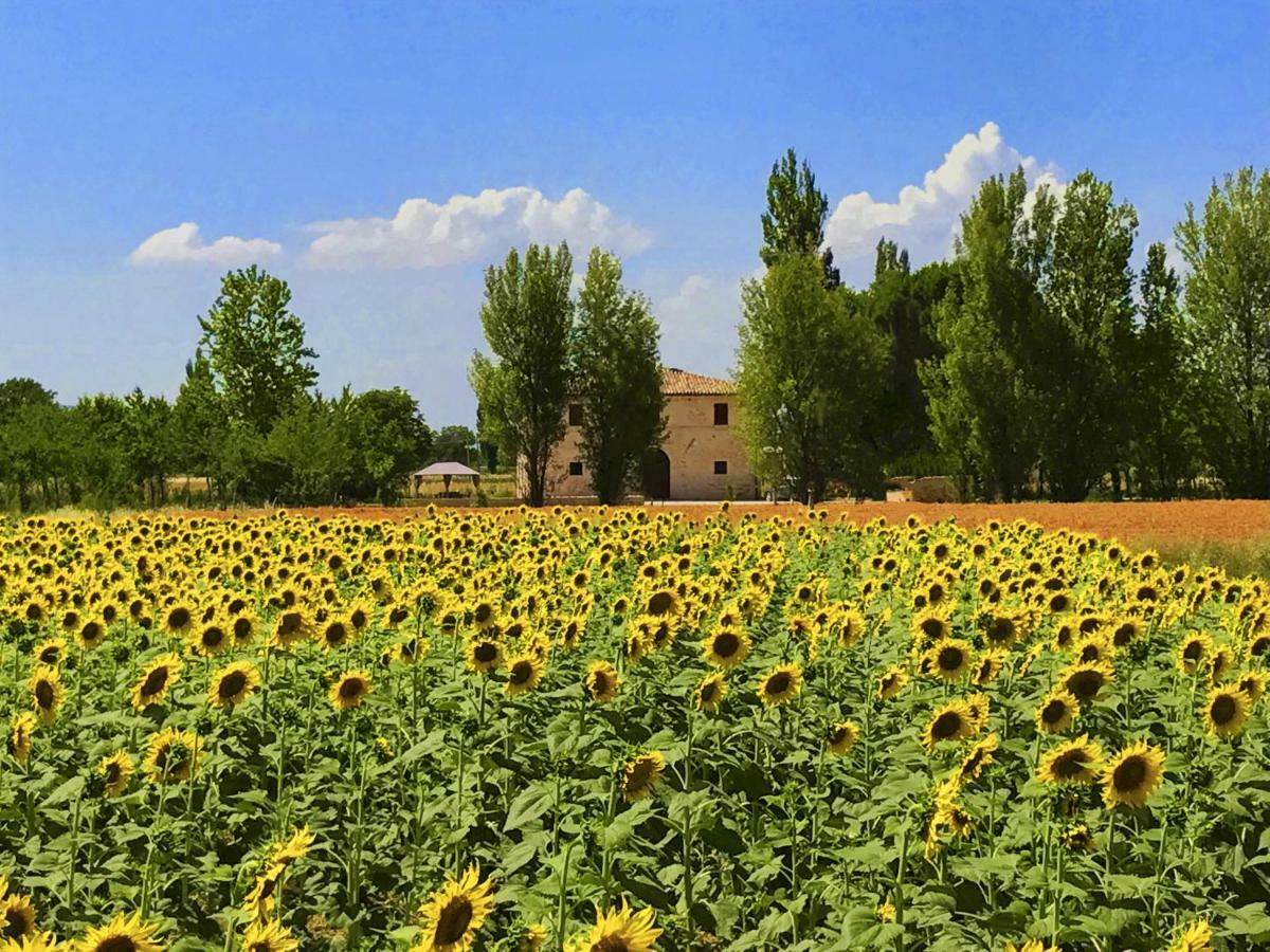 Villa Licinia Foligno Exteriör bild