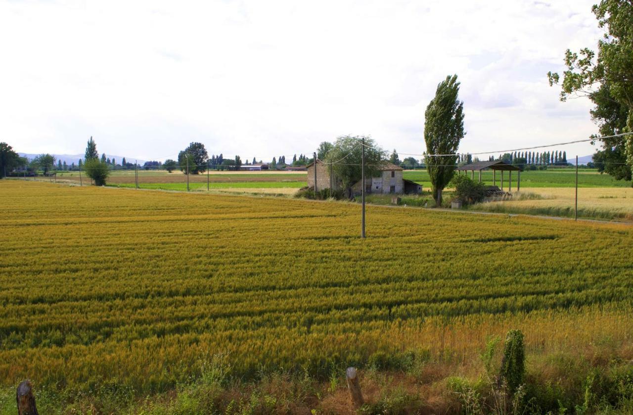 Villa Licinia Foligno Exteriör bild